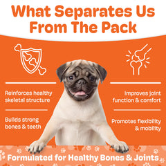Boneo Canine Maintenance neo-portin complex label highlighting patented bone turnover support.