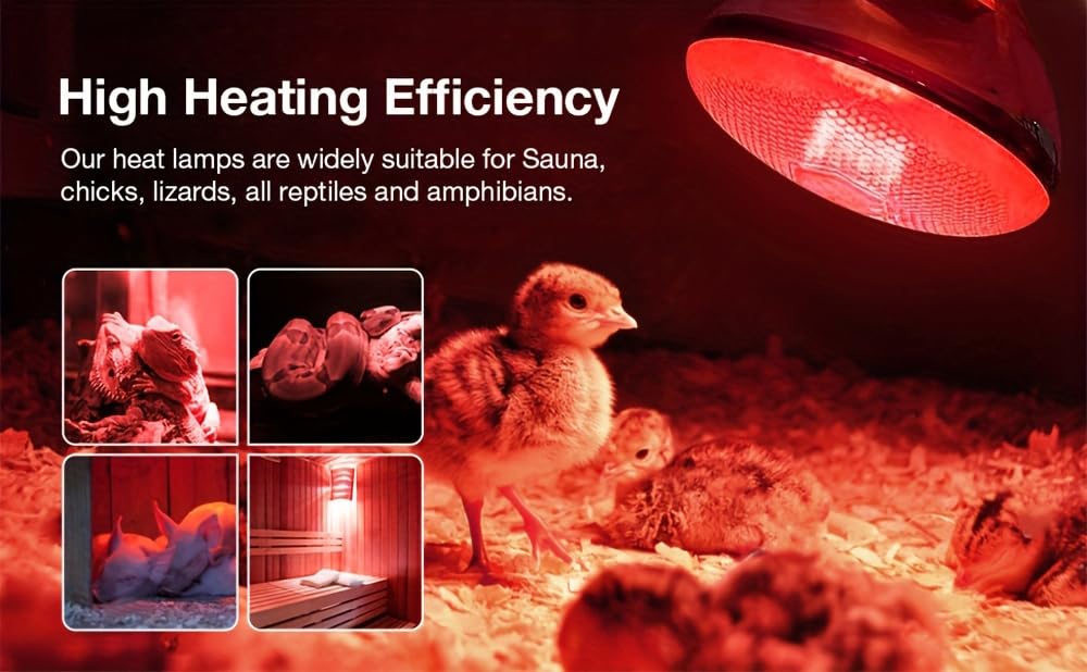 BONGBADA basking area heat lamp creates a natural warmth zone for pets.