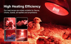 BONGBADA basking area heat lamp creates a natural warmth zone for pets.