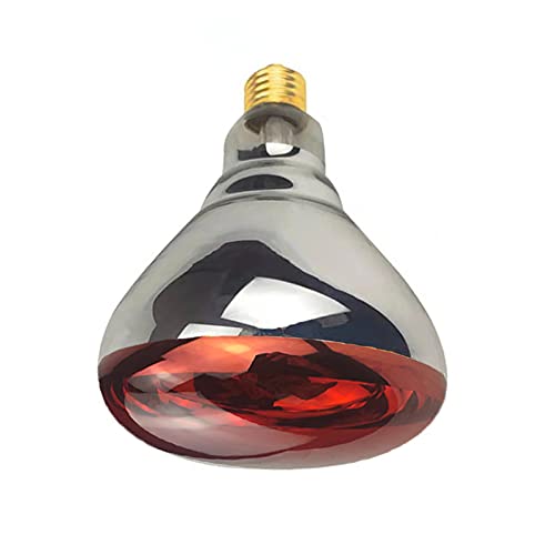 BONGBADA brooder chick heating lamp supports chick comfort and growth.