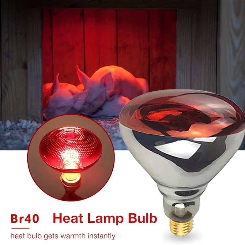 BONGBADA explosion-proof glass heat lamp ensures safer heating in enclosures.