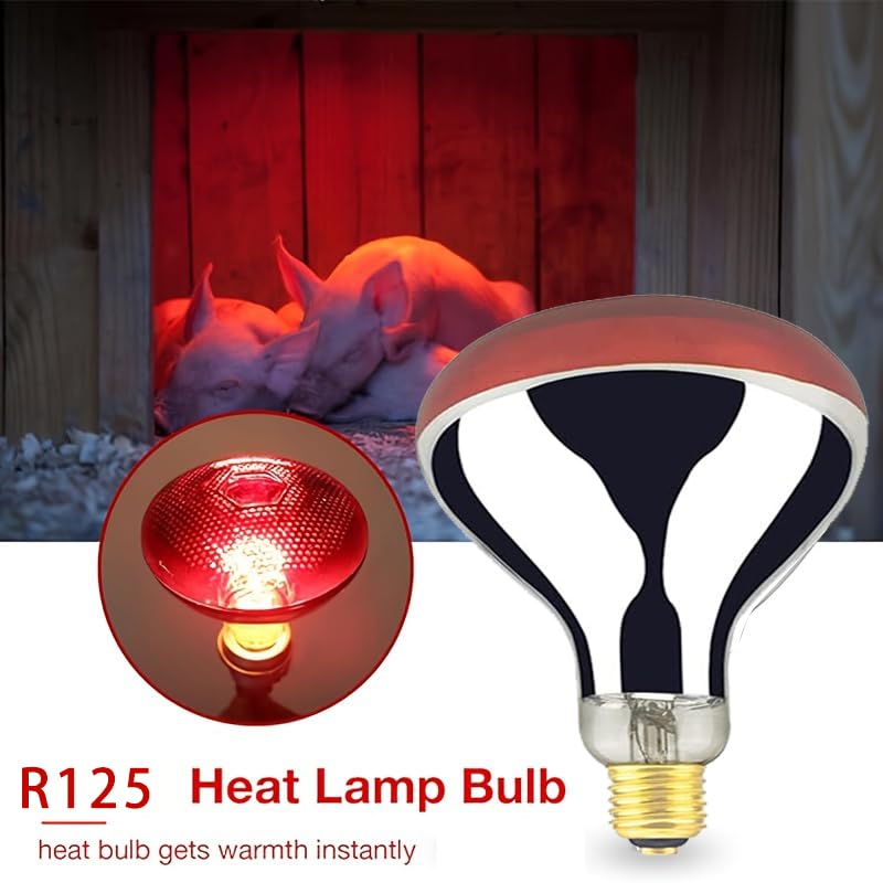 BONGBADA explosion-proof glass bulb for reliable brooder warmth