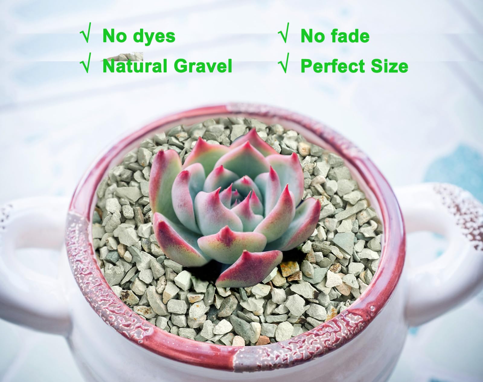 Boniosz green zeolite helps absorb impurities in small aquariums