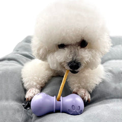 BoniVet Bully Stick Holder Small Purple front view shows secure chew grip