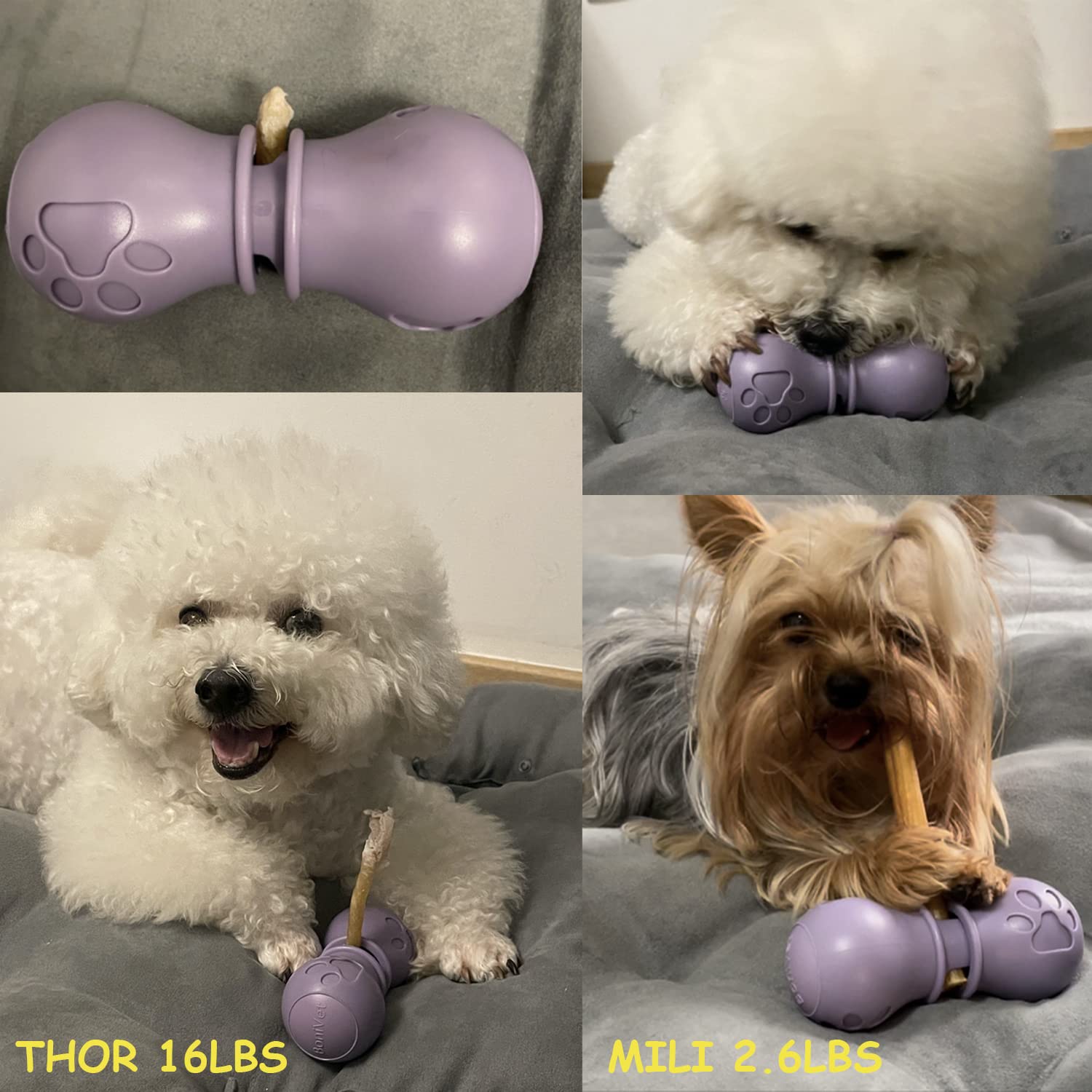 Small purple BoniVet holder sized for small dogs