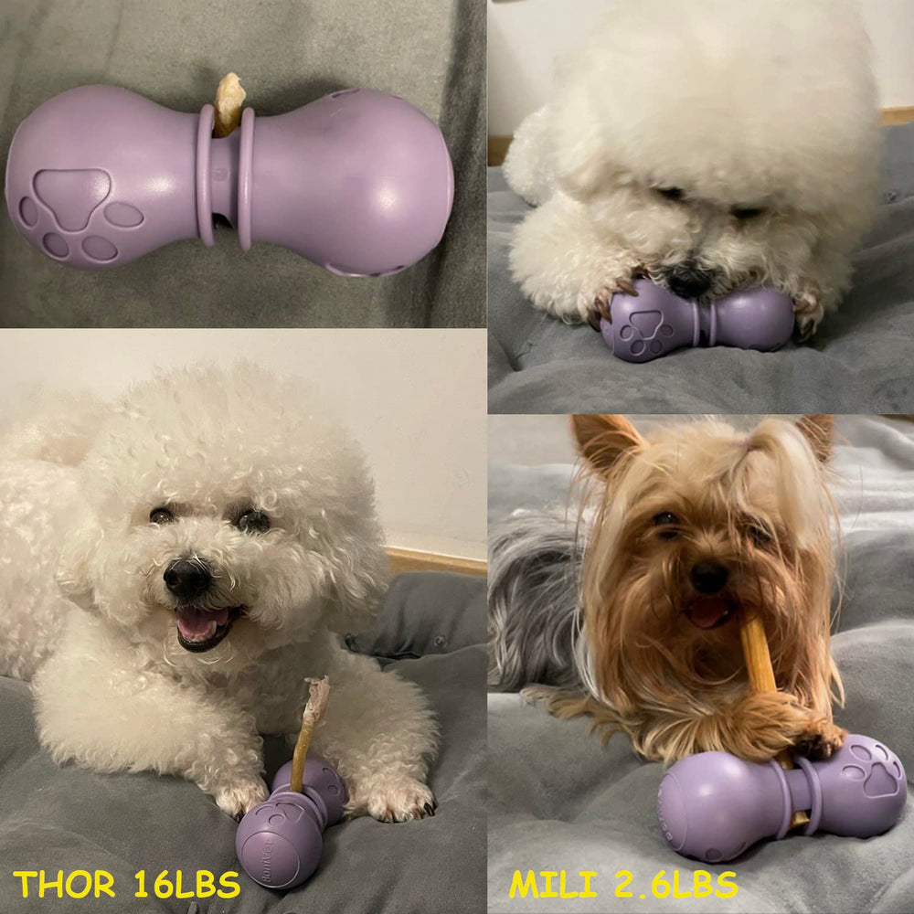 Small purple BoniVet holder sized for small dogs