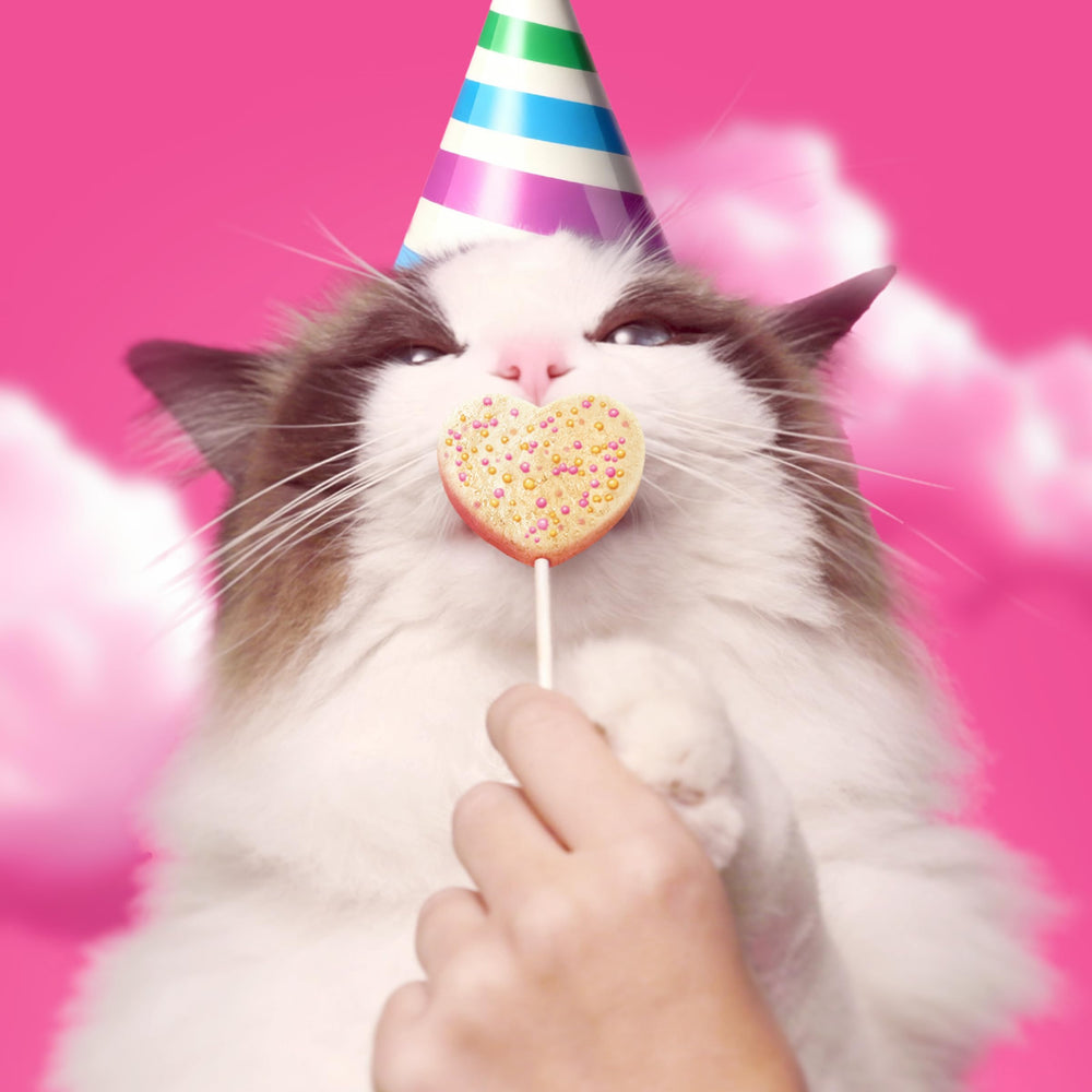 Bonkers Purrpops Birthday Edition encourages bonding time during treats