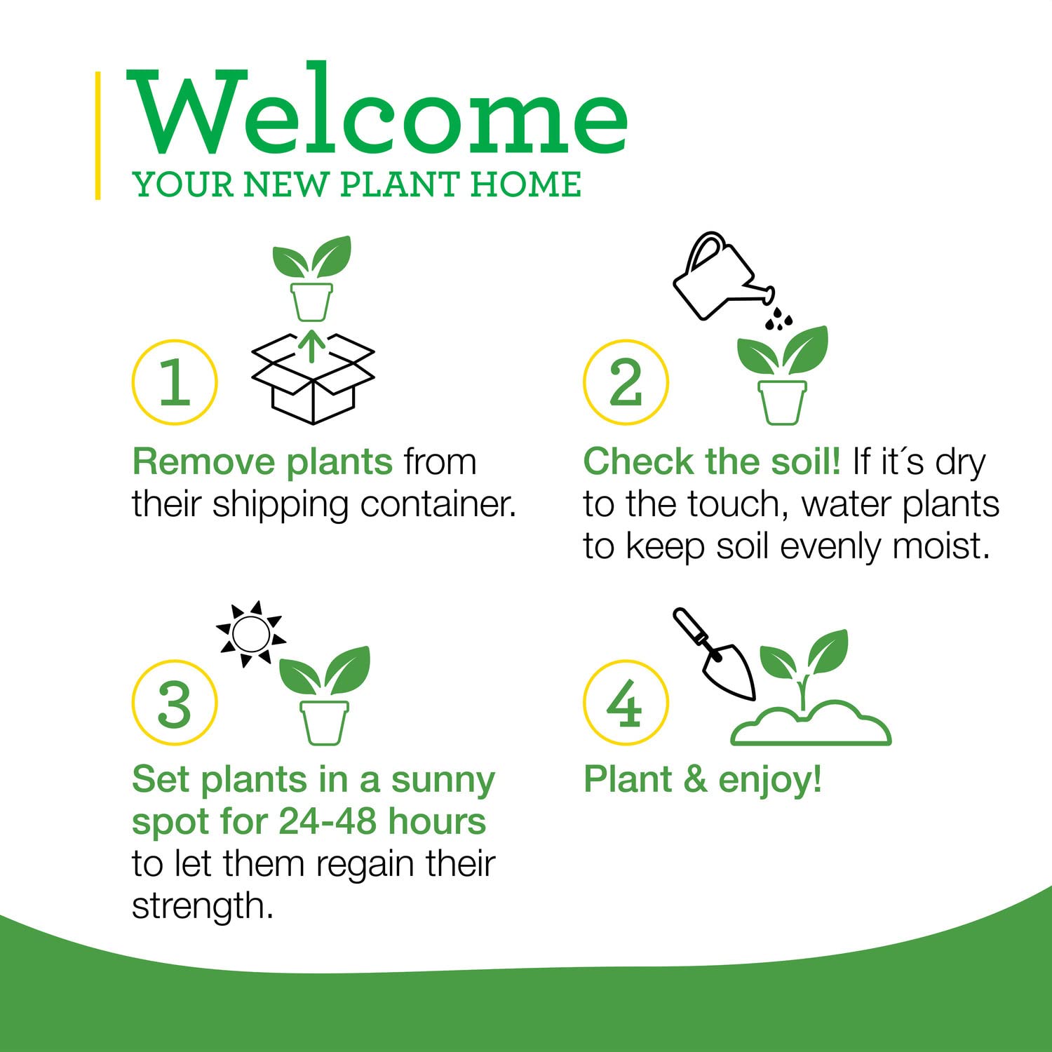 Bonnie Plants catnip packaging ready-to-plant in your garden.