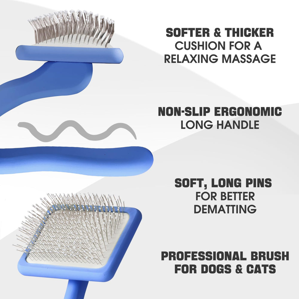 Bonteck blue four-piece grooming kit organized for home use