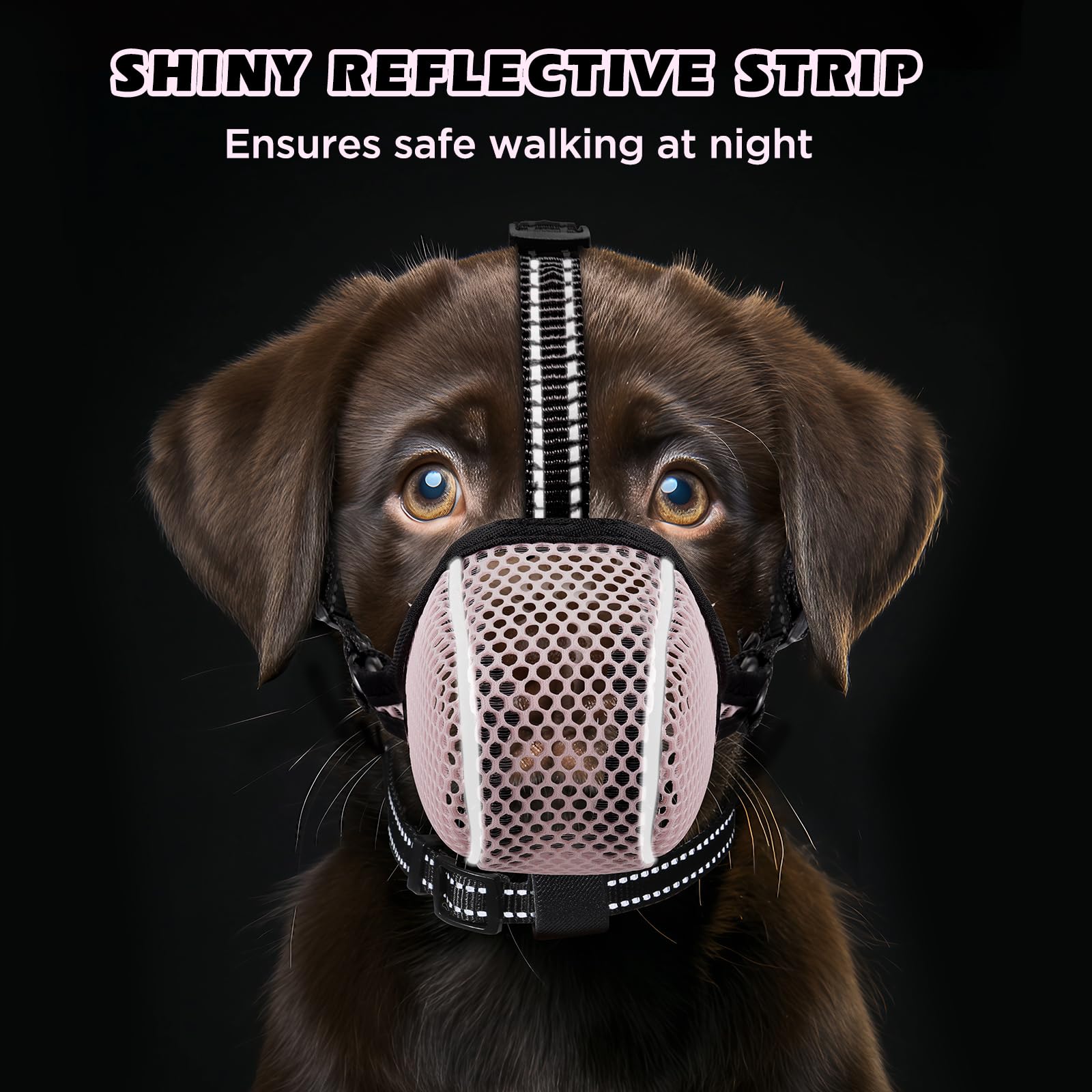 BONTHEE allows panting and drinking during walks.