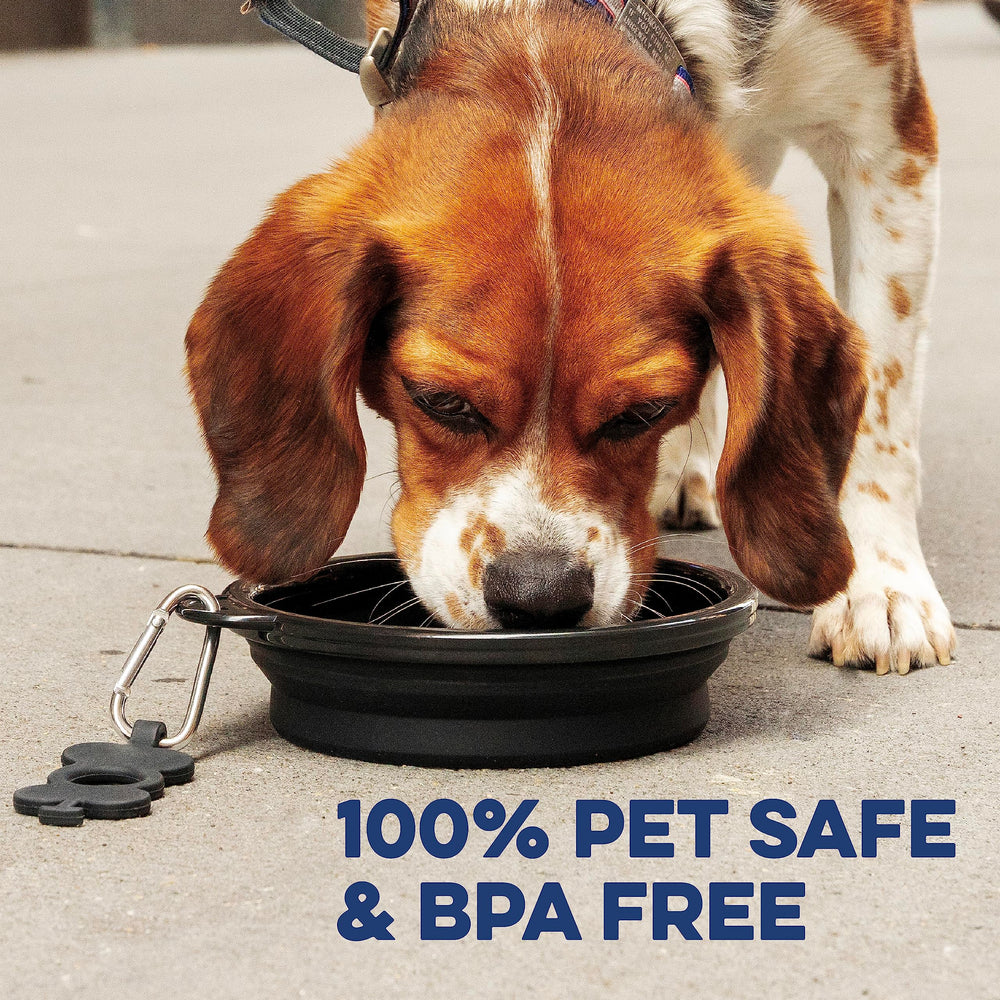 Bonza travel bag-ready bowl compactly packs with pet gear