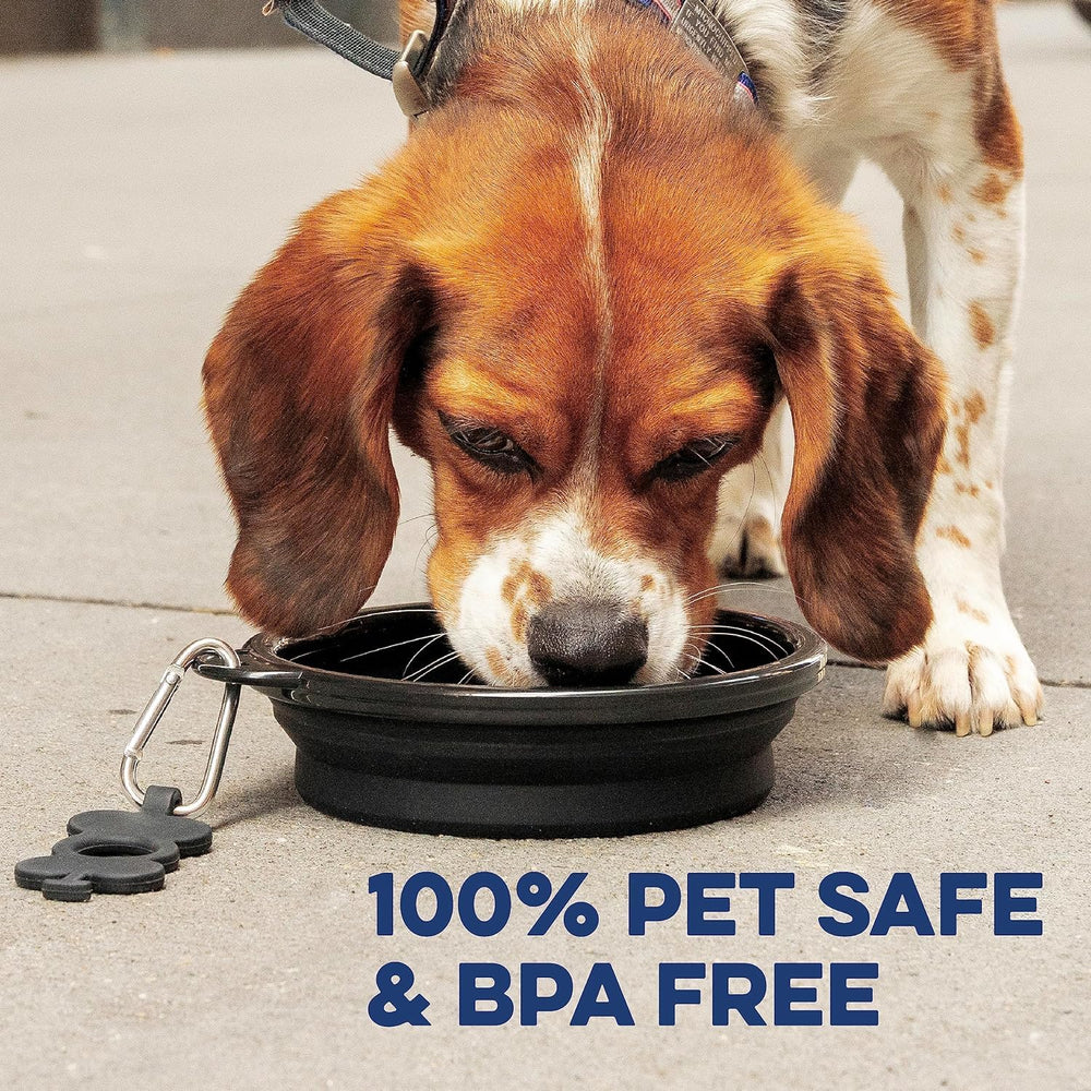 Bonza bowls in navy blue demonstrate easy cleaning after meals.