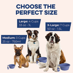 Bonza dishwasher-safe collapsible dog bowl after outdoor play