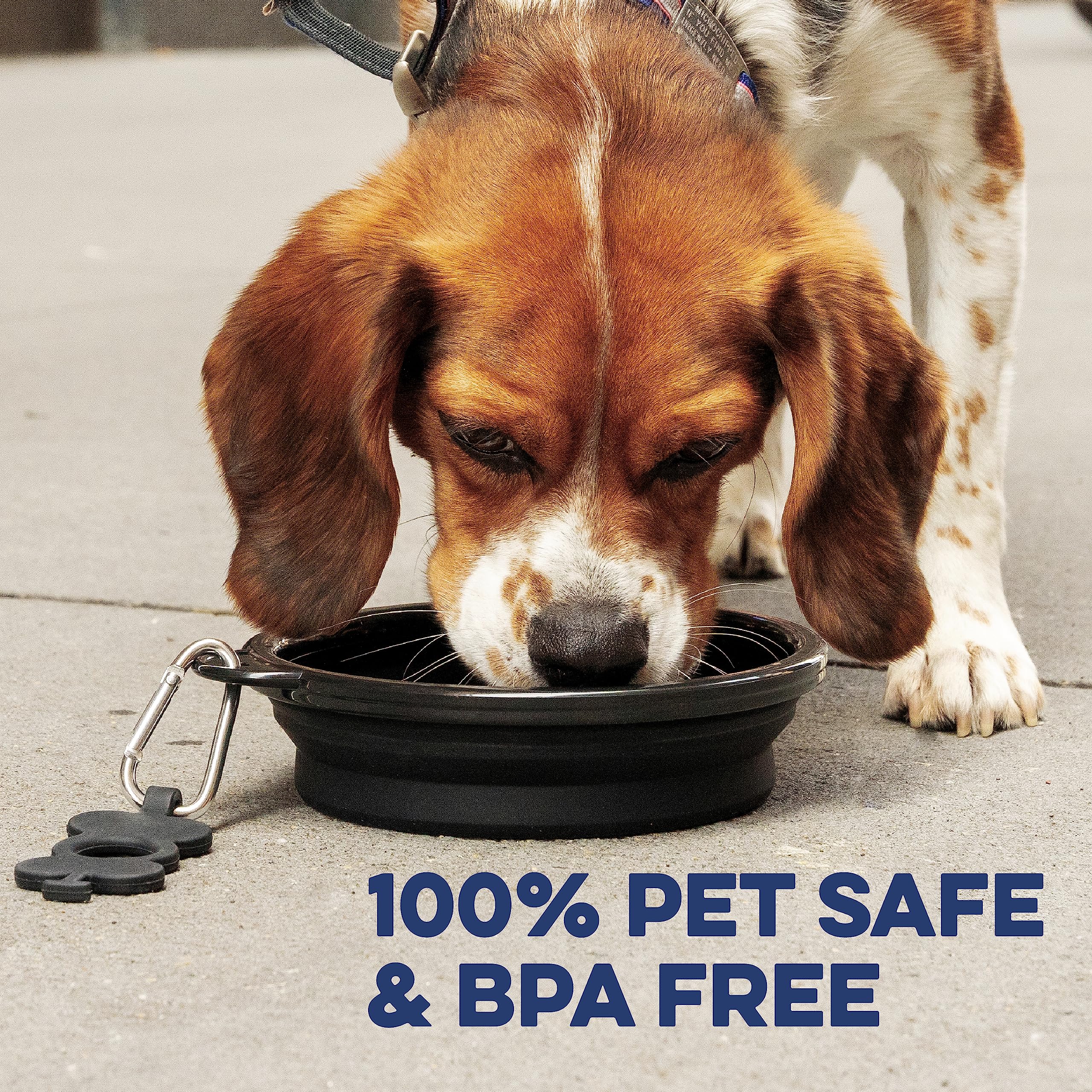 Bonza road-trip water bowl ready for roadside rests