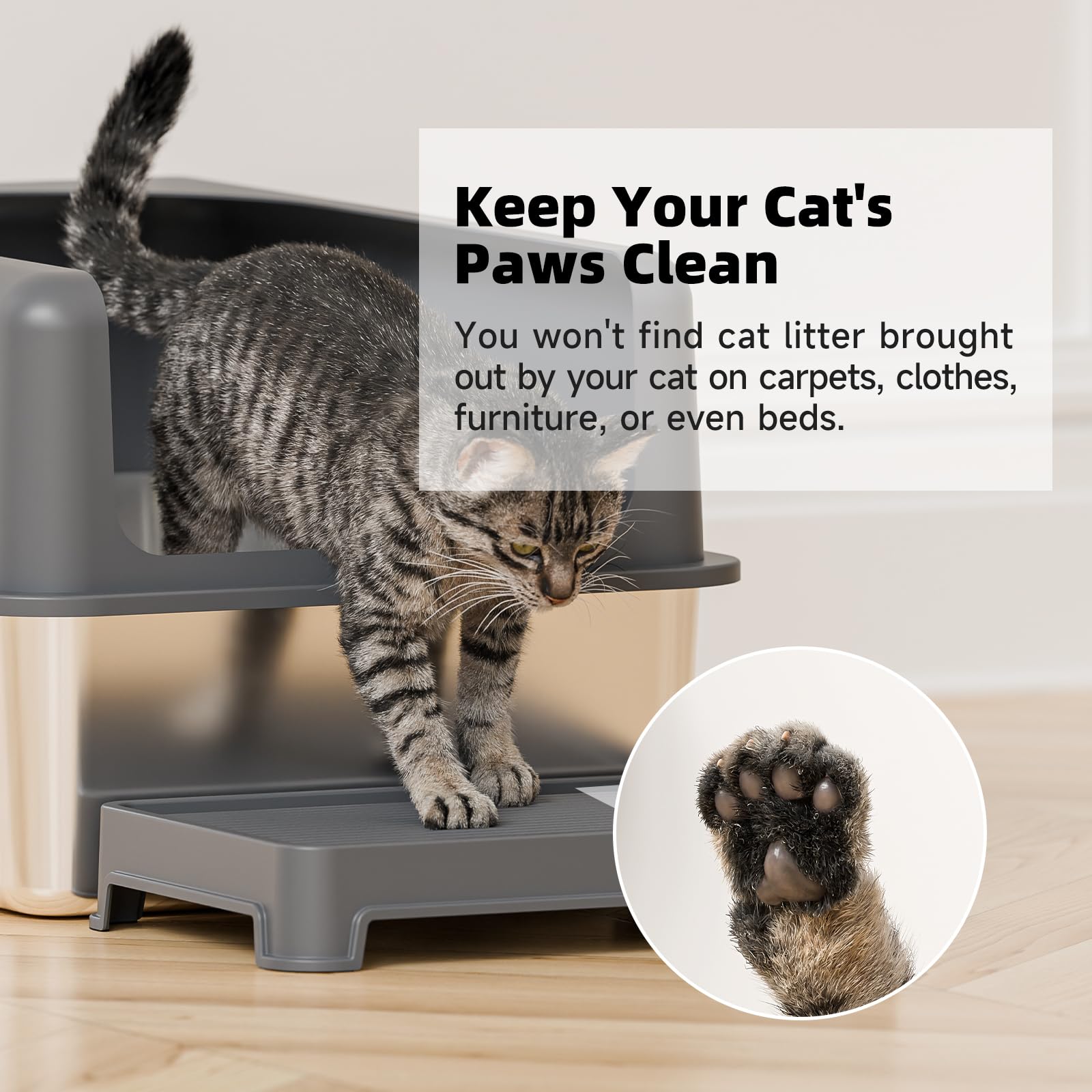 Booche cat ramp provides elderly cats with easier box access.