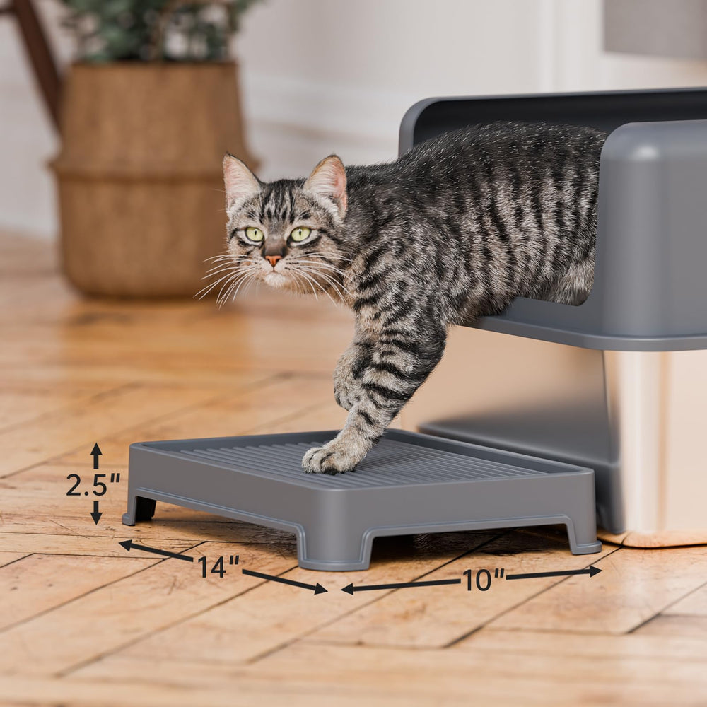 Booche cat ramp supports small cats with gentle access to the box.