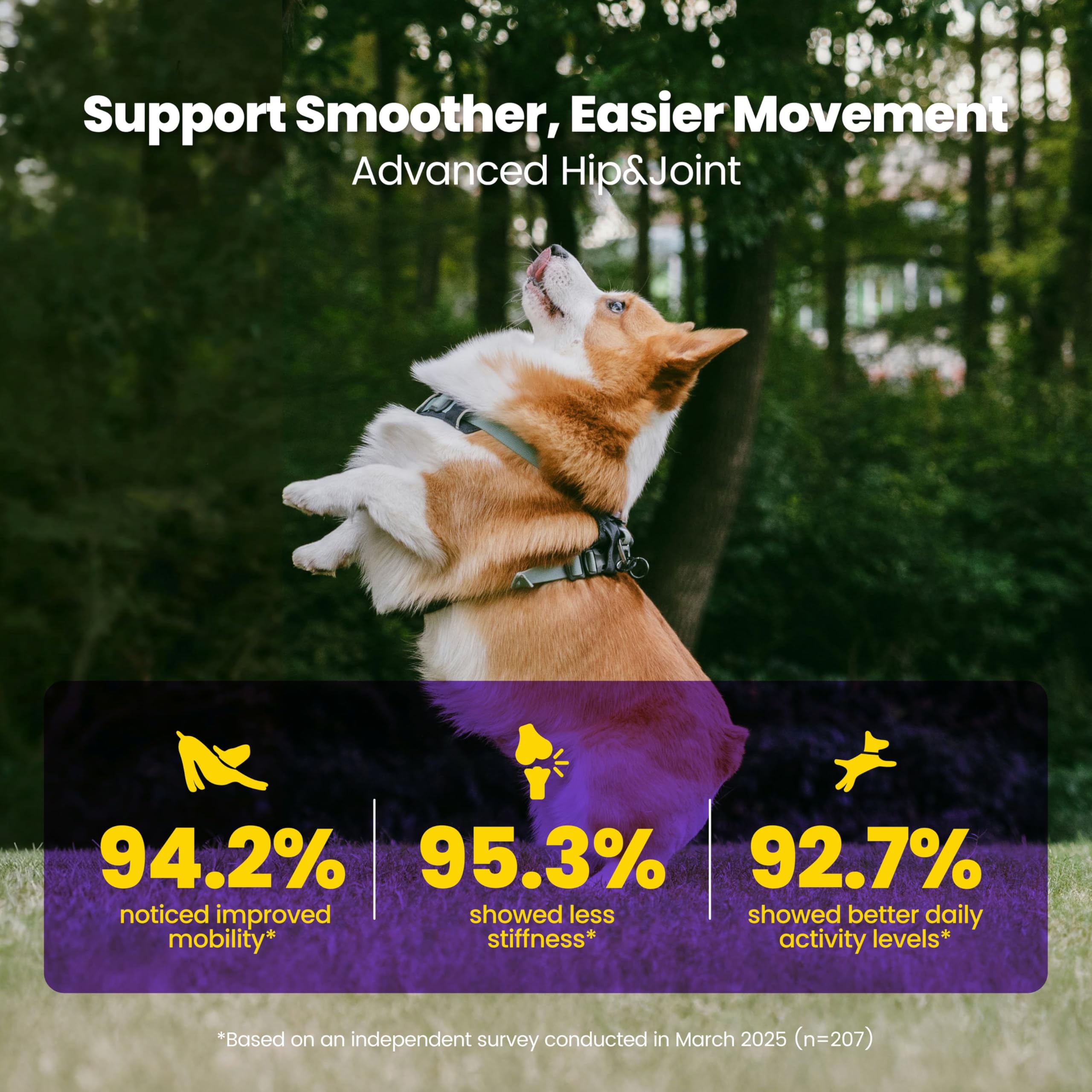 Boops Pets glucosamine blend for hip joint health and active dogs