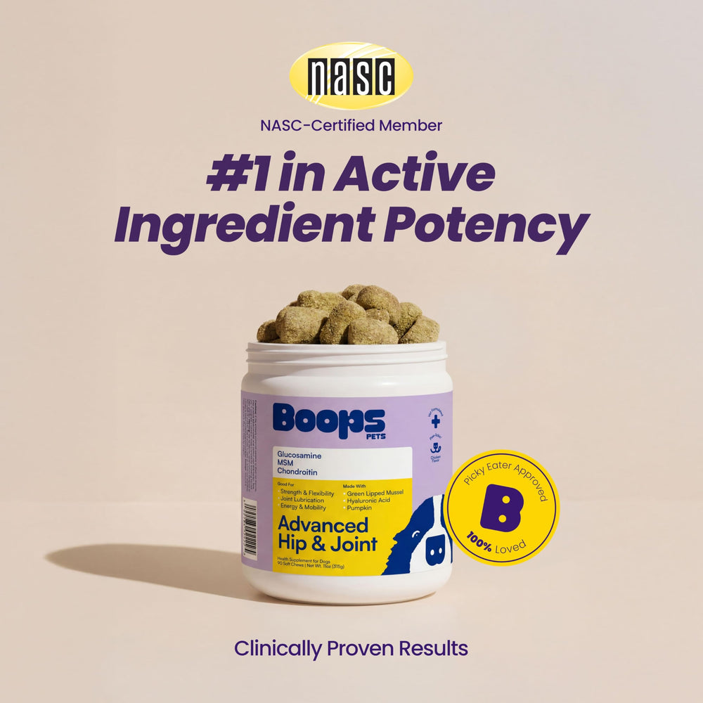 Boops Pets MSM-powered hip joint formula promoting flexible movement