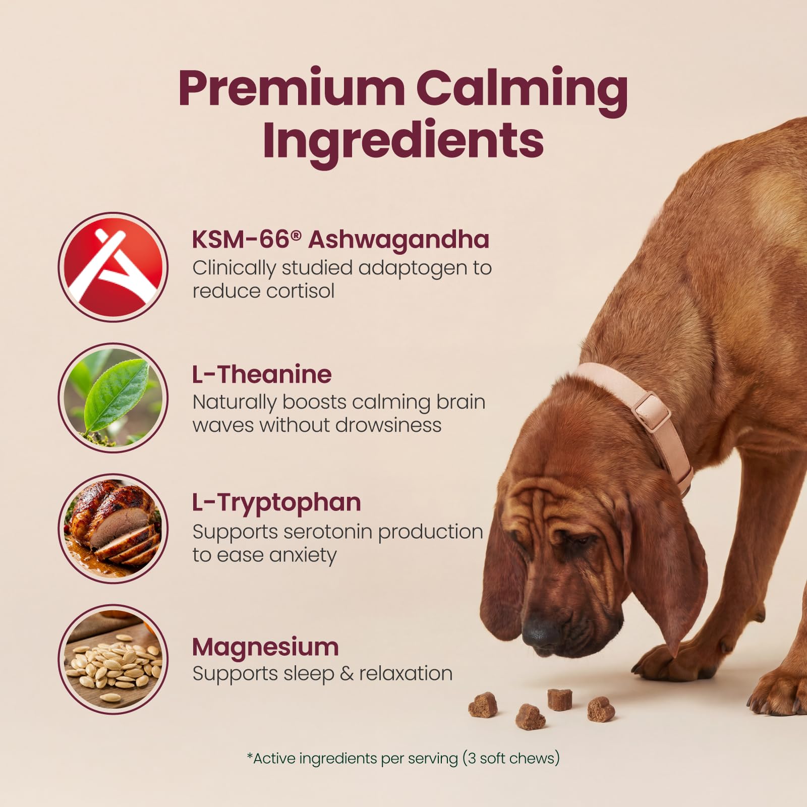 Close-up of dog enjoying chews, highlighting tasty texture.