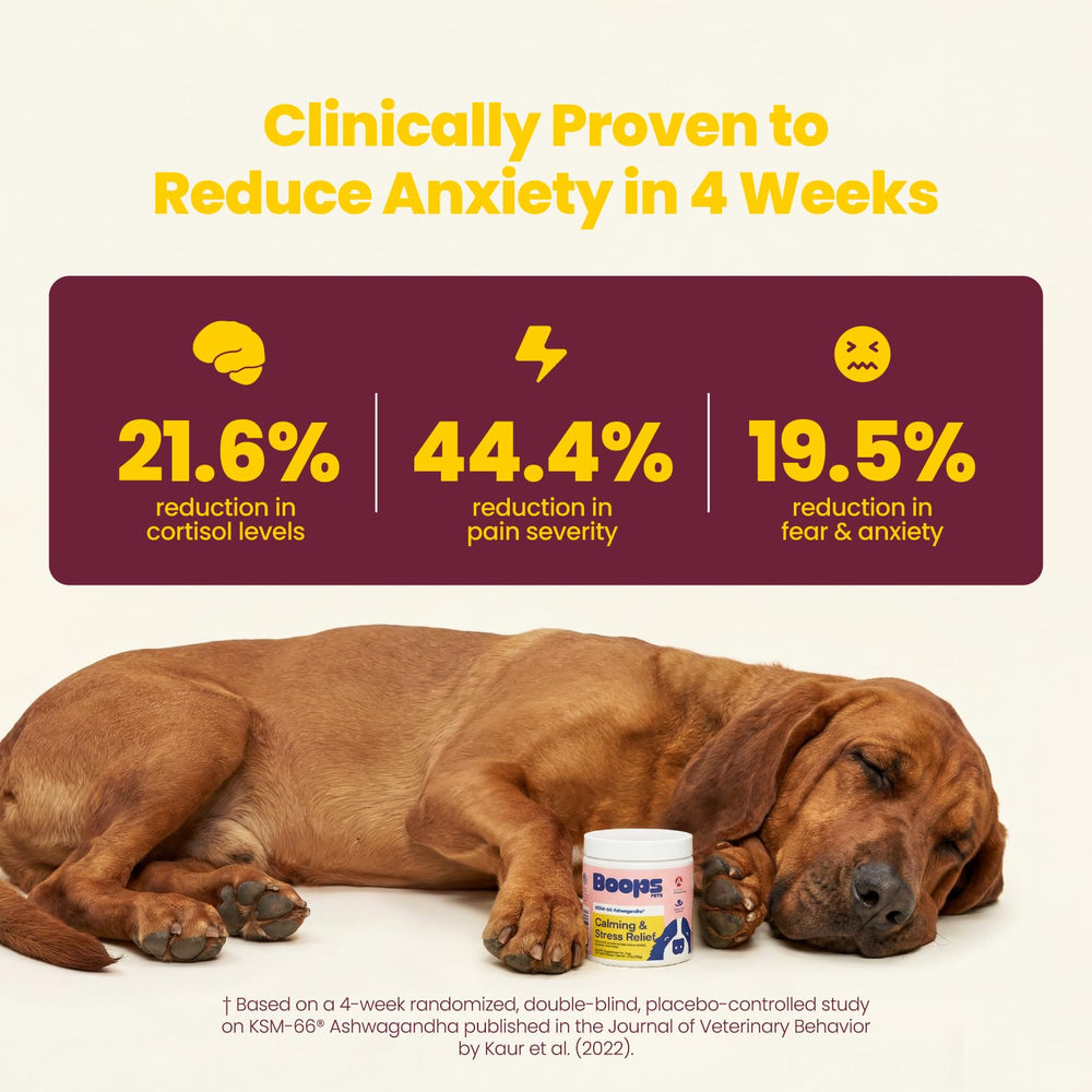 Soft chews showing Turkey and Beef flavor for daily stress relief.