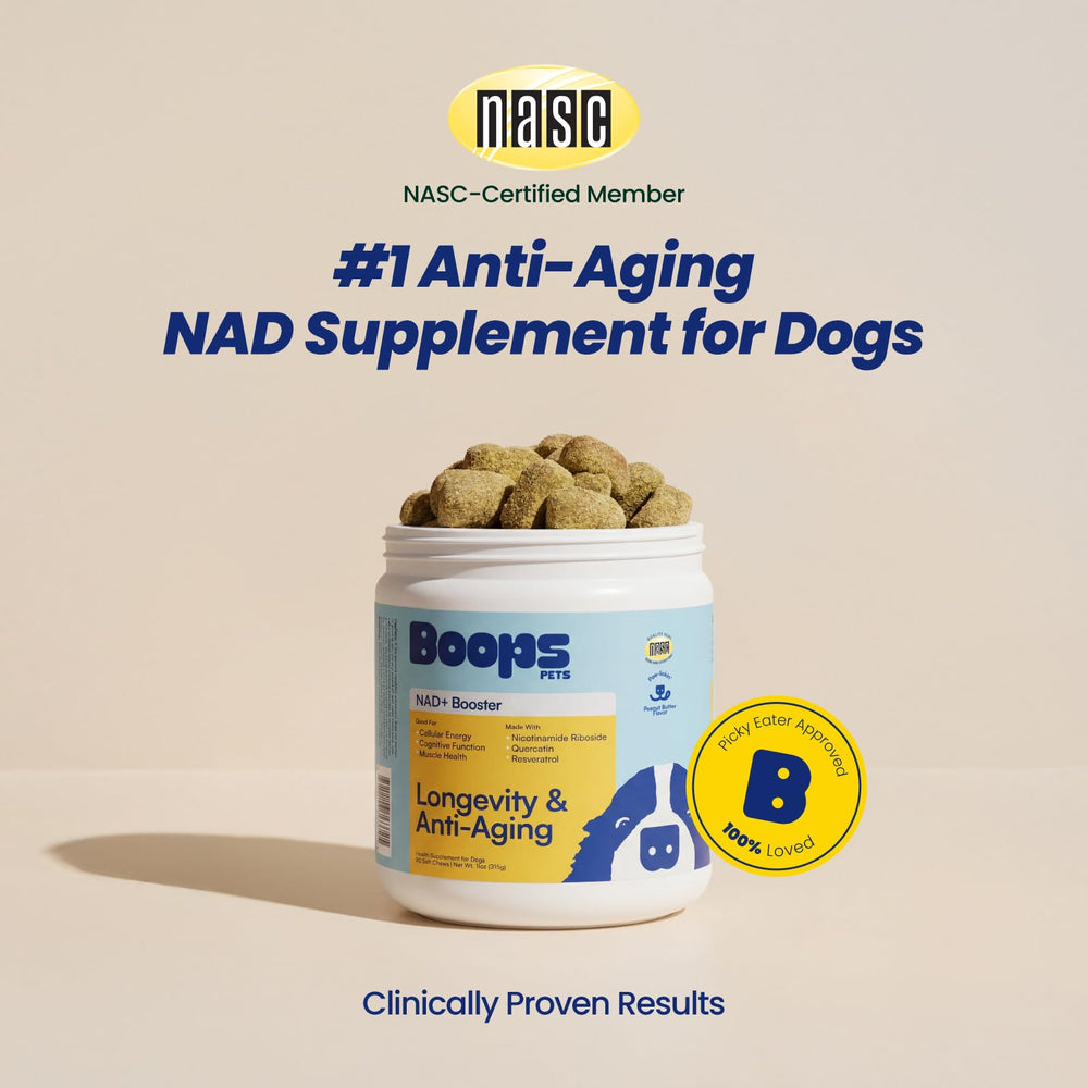 Boops Pets NAD+ soft chews close-up highlighting real beef texture.