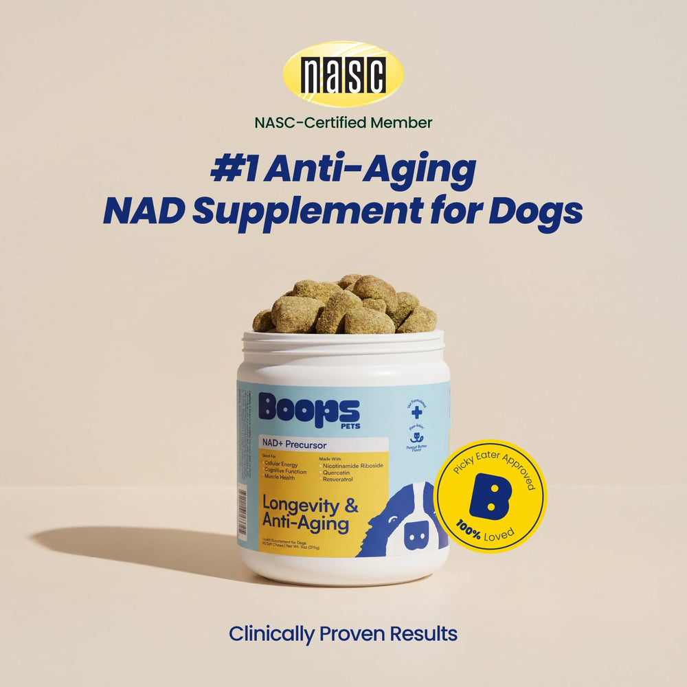 Boops Pets NAD+ soft chews close-up ingredients with NR quercetin resveratrol
