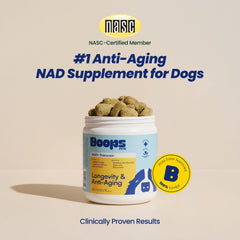 Boops Pets NAD+ soft chews close-up ingredients with NR quercetin resveratrol