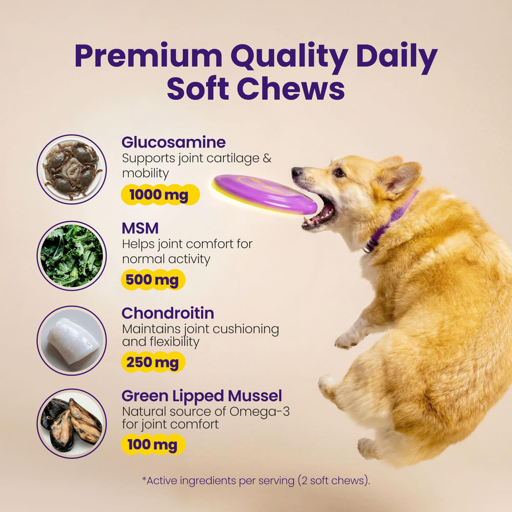 Boops Pets pasture-raised chicken protein used in soft chews