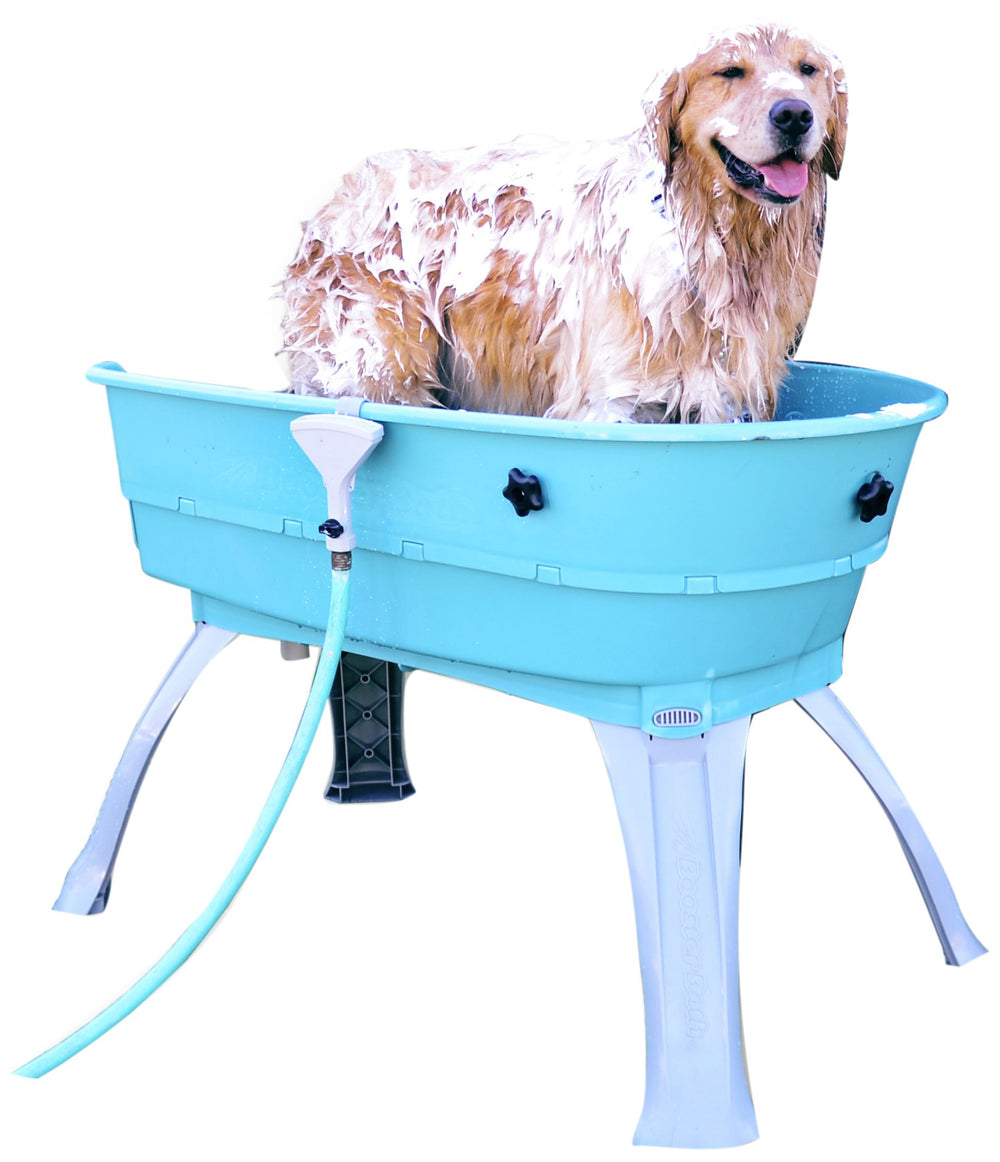 Booster Bath elevated pet bath in teal for at-home grooming ease