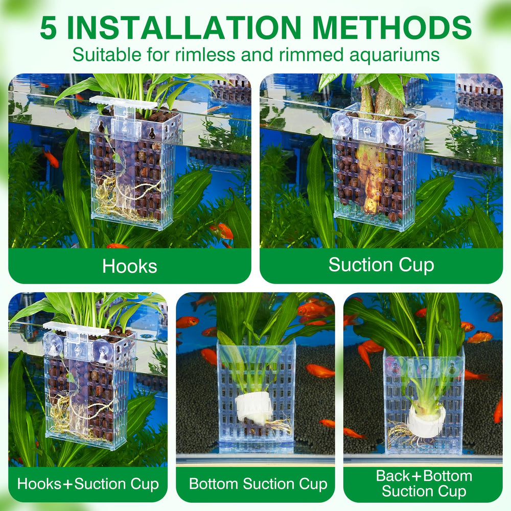 Borlech bottom suction cup enables floor mounting for versatile tank layouts.