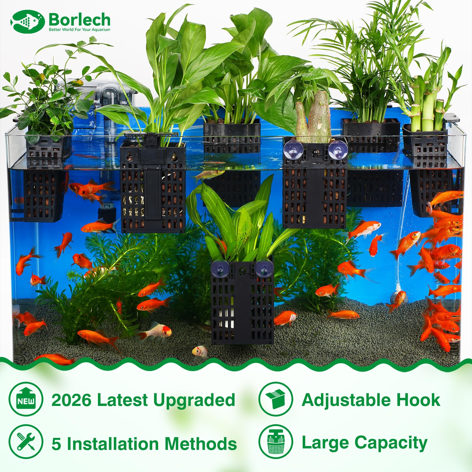 Borlech extendable hook holder enables precise plant placement.