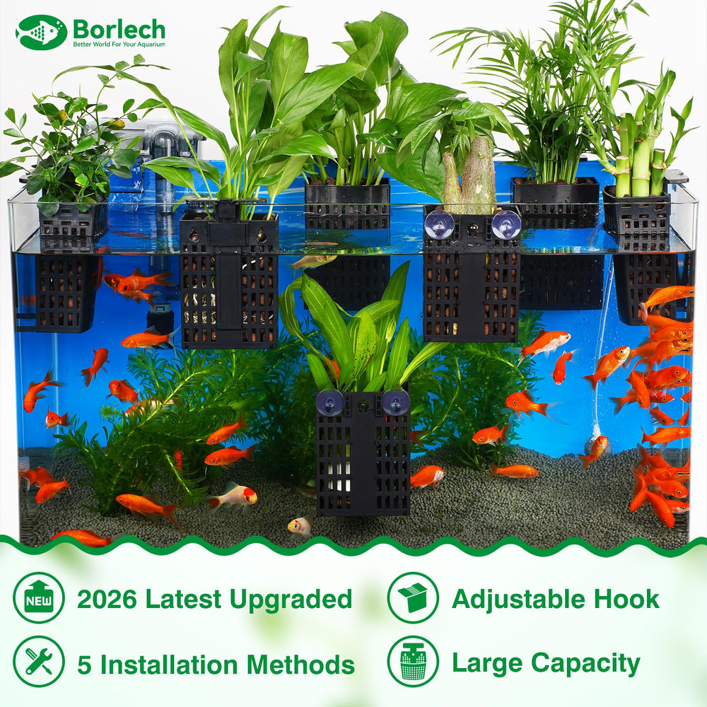 Borlech plant holder with suction cup attaches firmly to glass for tidy displays.