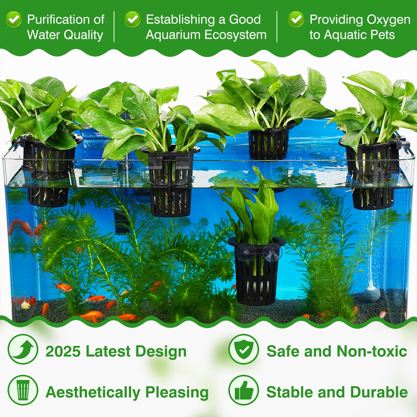 Borlech plant holder with suction cups securely anchors to glass for stable displays.