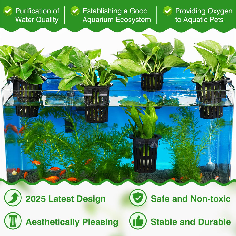 Borlech plant holder with suction cups securely anchors to glass for stable displays.