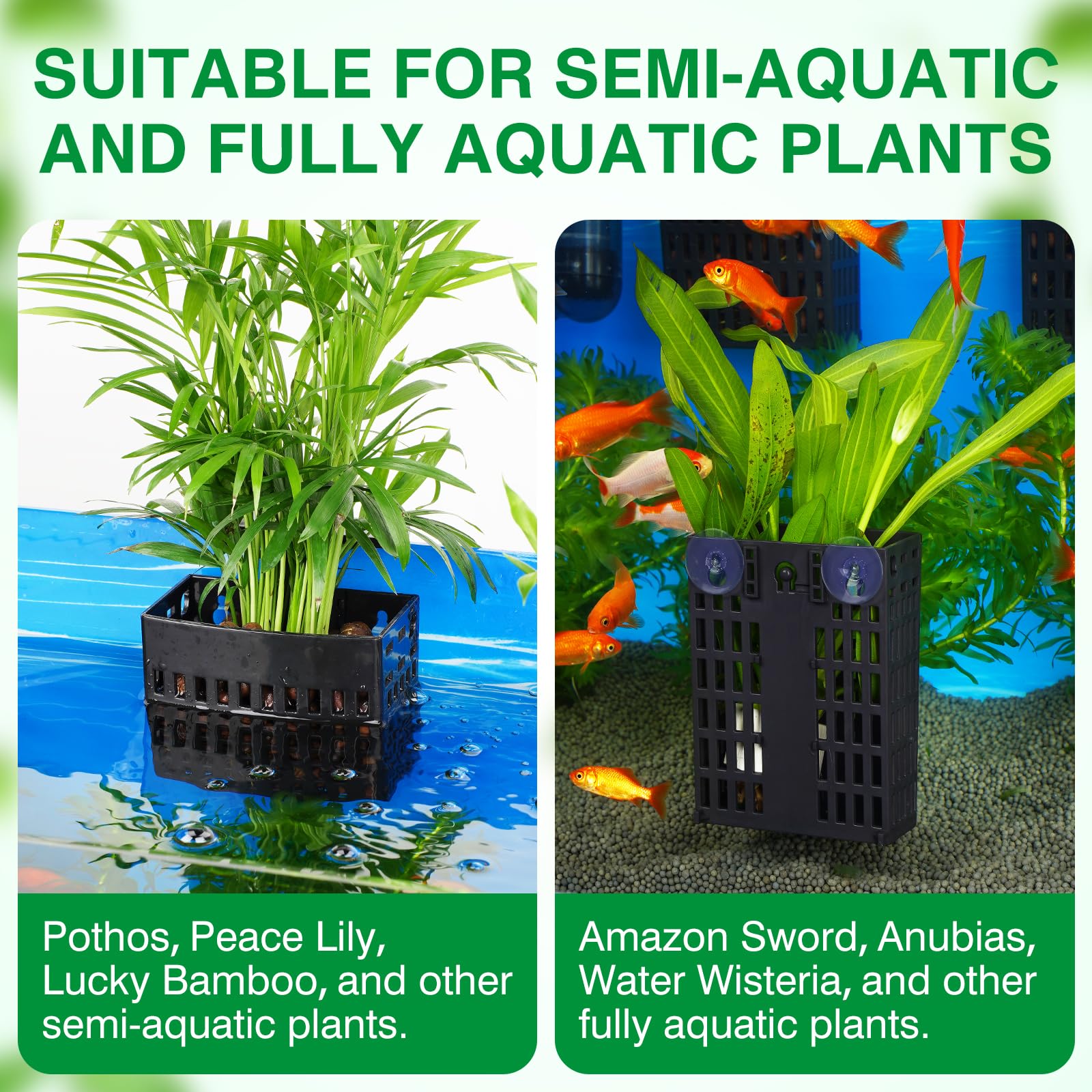 Borlech holder adapts to many plant types and tanks for flexibility.