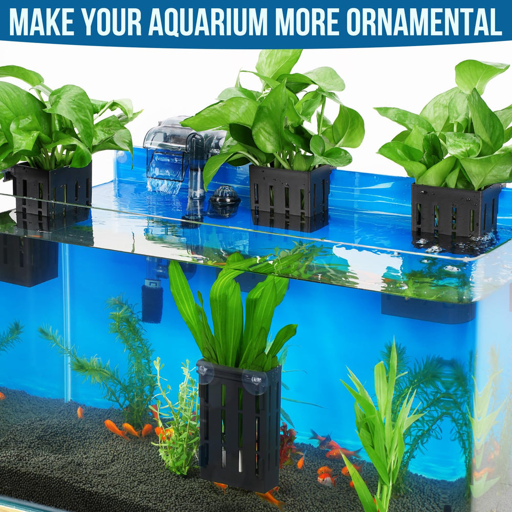 Borlech installation is easy for rimmed or rimless tanks.
