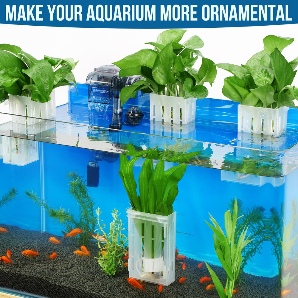 Borlech durable PP material shown in close-up for safe aquatic use.