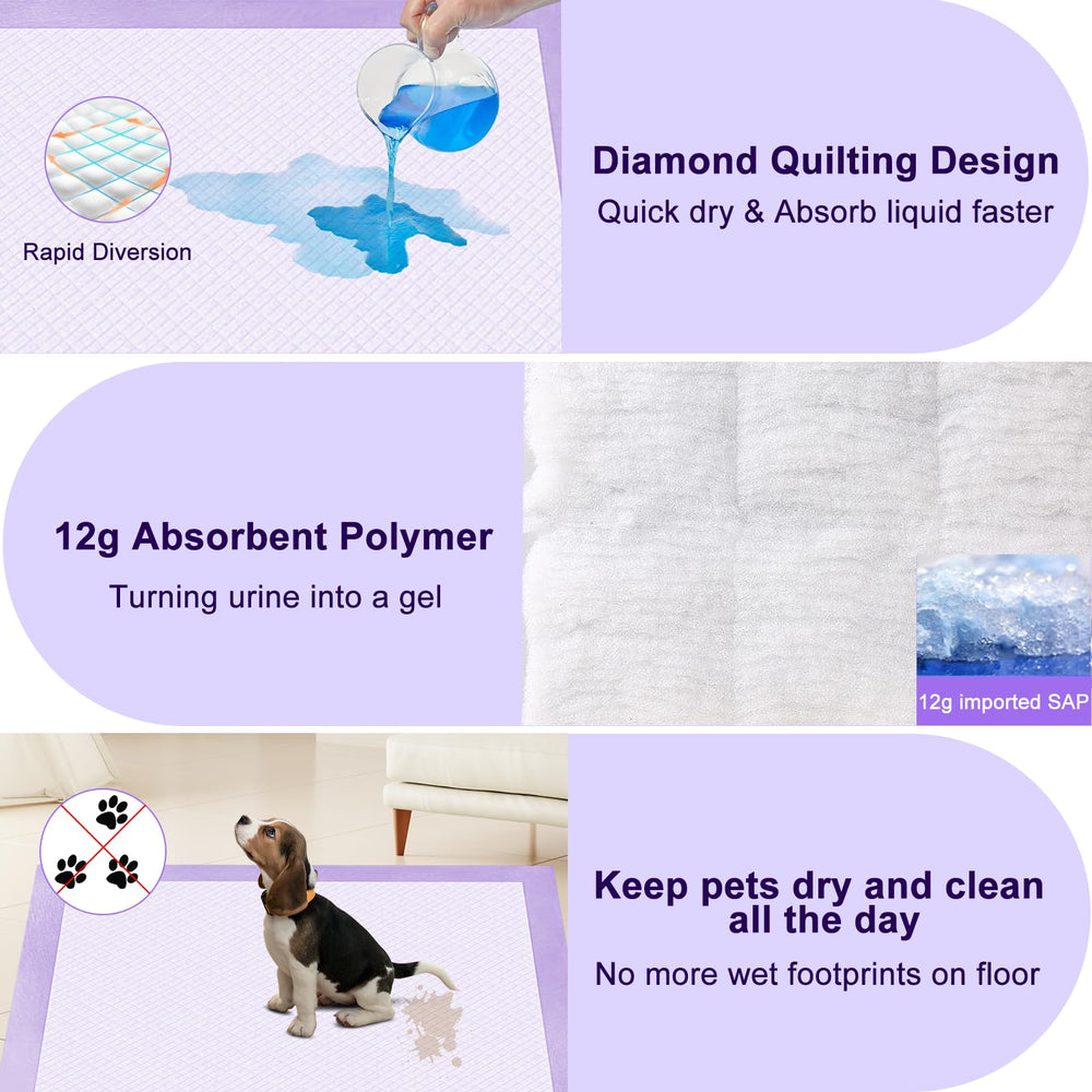 Pet-friendly room scene shows pad under paw prints for training
