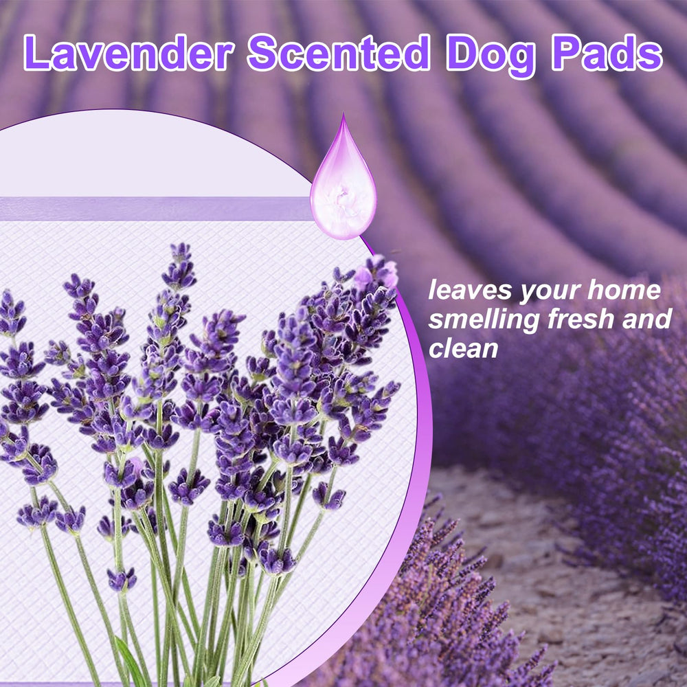 Close-up of lavender scent on the pad highlights odor control and freshness