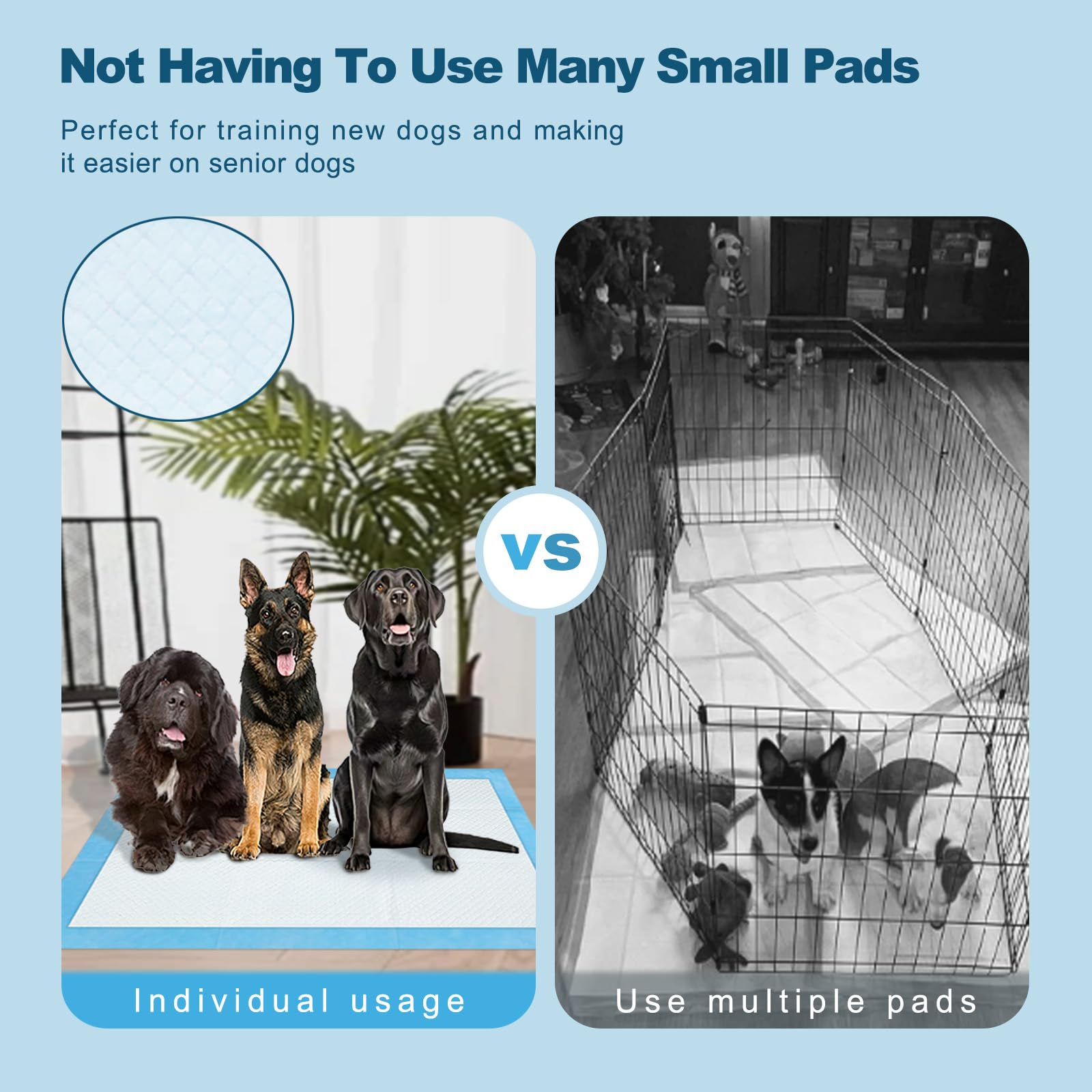 Boscute pad supporting puppies and aging pets in busy homes