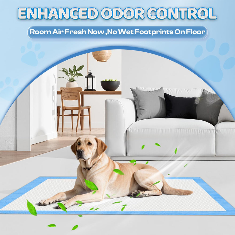 Boscute puppy-training-pad-use shows generous training area.