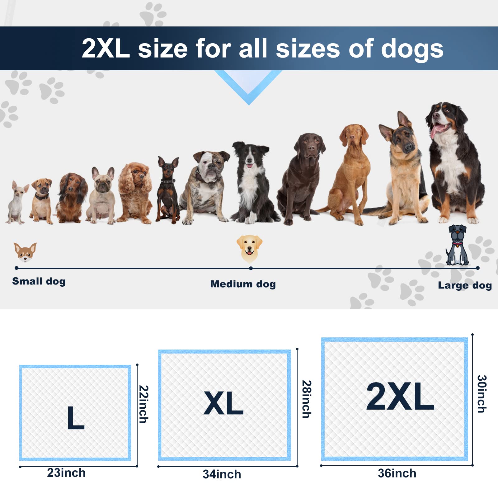 Boscute pads support puppies and aging pets during training and daily routines