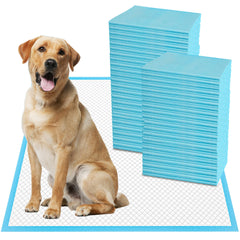 Boscute XXL six-layer pad packaging showing easy disposal and protection