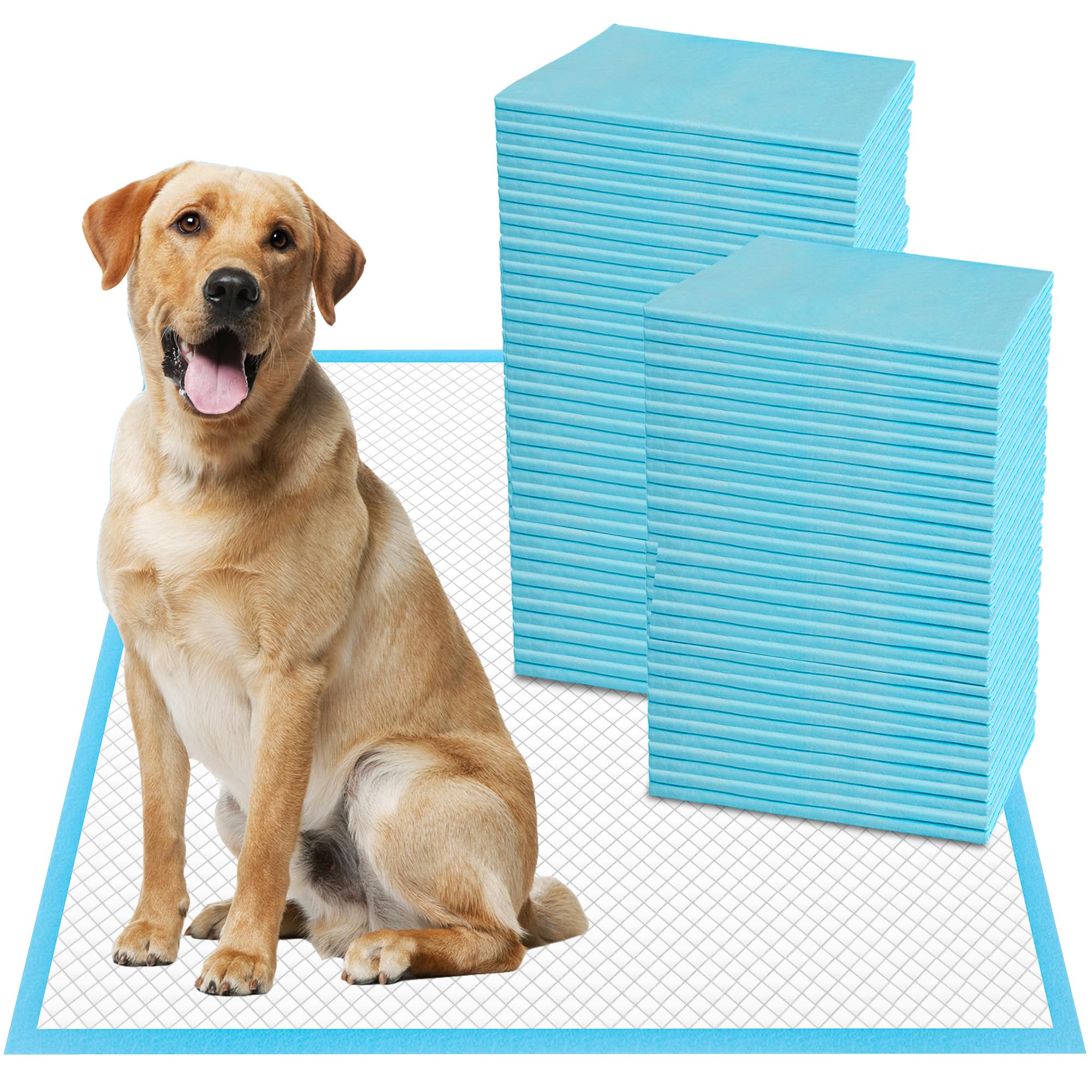 Boscute XXL six-layer pad laid flat to protect floors during training.