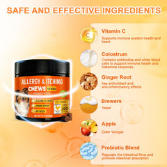 Botanic Skin Dog Allergy Chews ginger root on label signals natural anti-inflammatory support