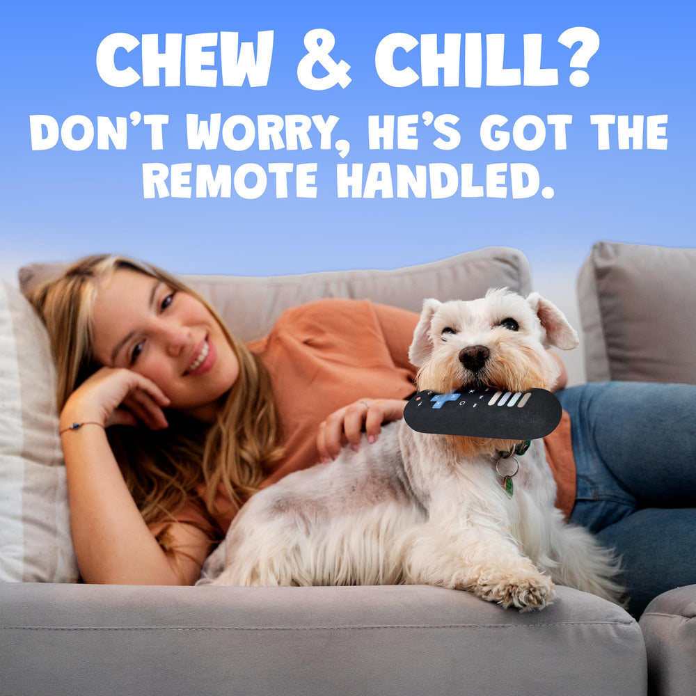 Playful remote design and bright colors invite dogs to join in.