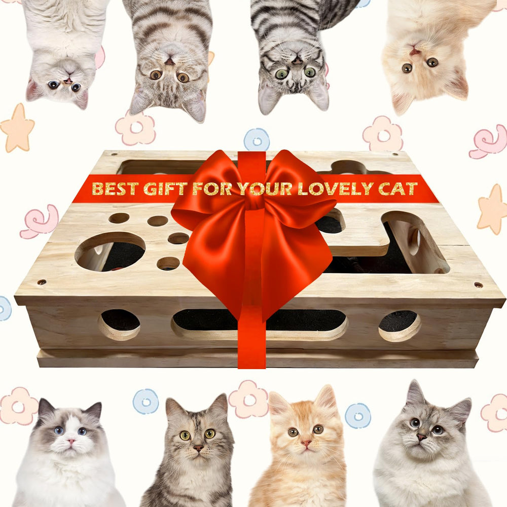 Botumiy Treat-hiding option inside maze to reward curious cats.