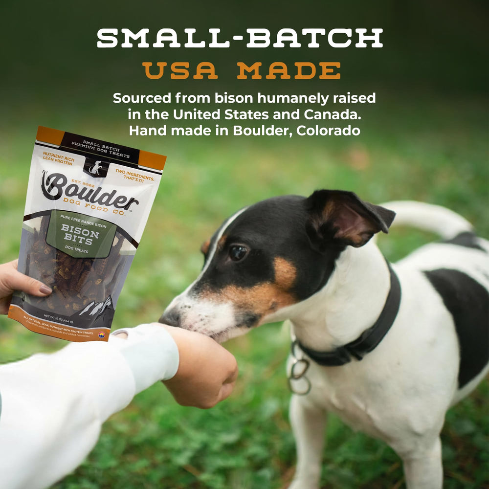 Dog training session using Bison Bits as a high-value reward