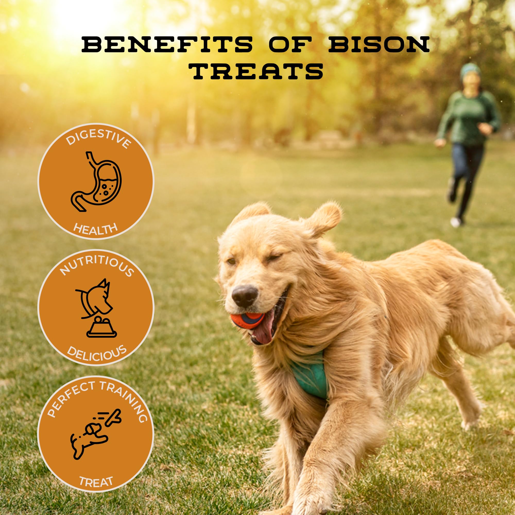 USA-made Bison Bits from Boulder Dog Food Company