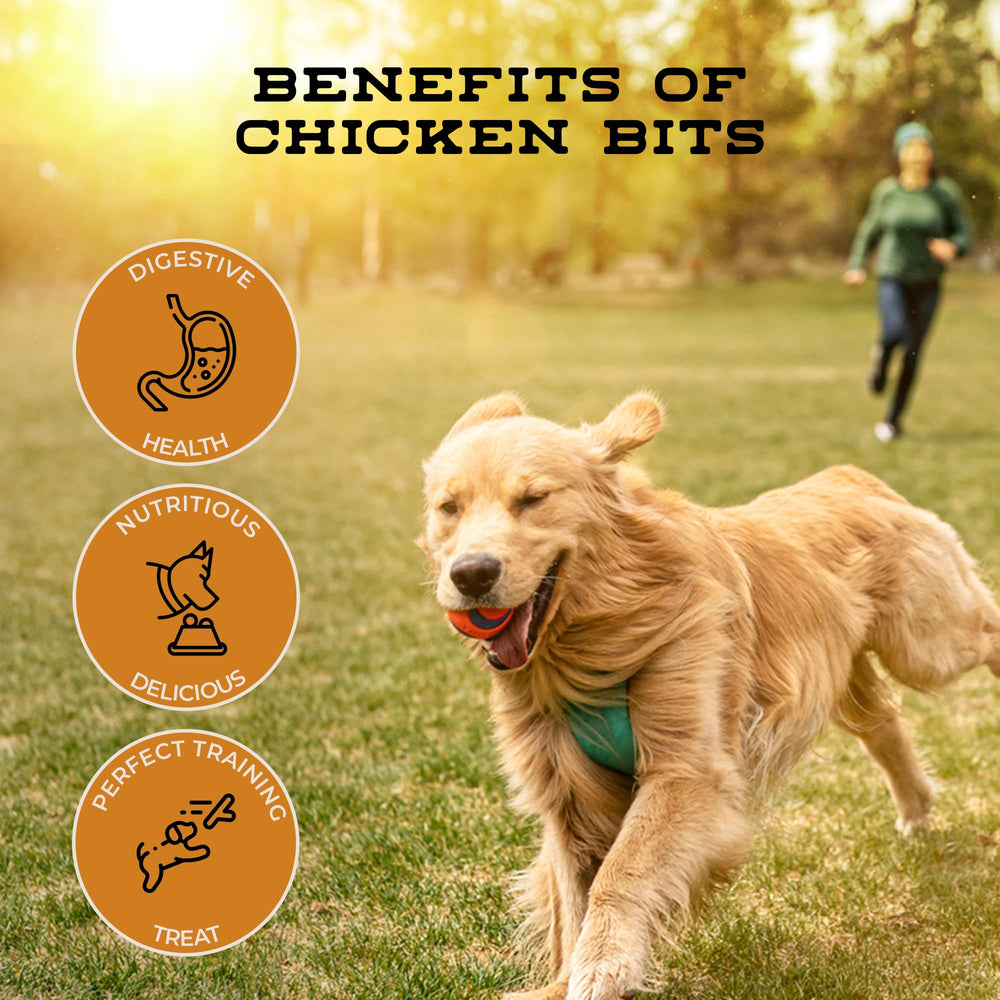 Serving large dogs with Chicken Bits as a high-protein snack